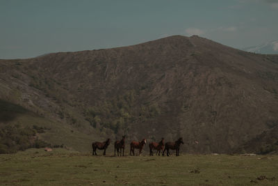 Horses on landscape against sky