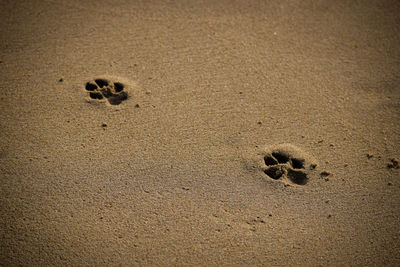 High angle view of footprints on sand