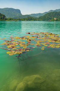 Scenic view of lake against cloudy sky