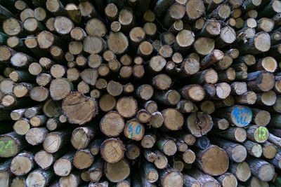 Full frame shot of logs in forest