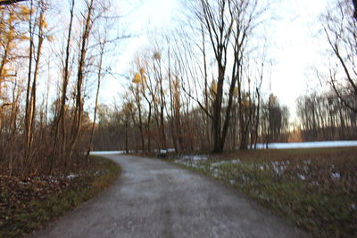 Road amidst trees and plants against sky