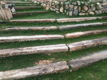 Steps on grass