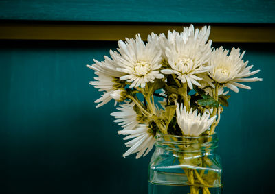 Close-up of flower against blurred background