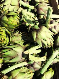 Full frame shot of vegetables for sale in market