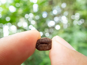 Cropped image of hand