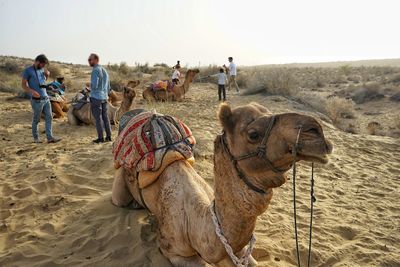 People in desert against sky