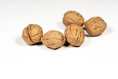 Close-up of cookies against white background