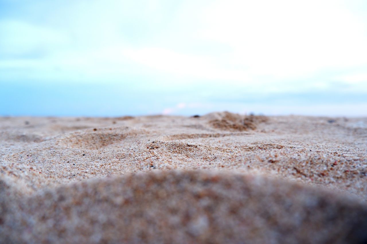 SURFACE LEVEL OF SANDY BEACH