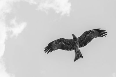 Low angle view of kite flying against sky