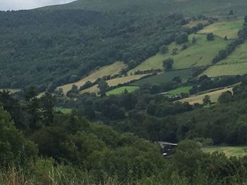 High angle view of trees on landscape