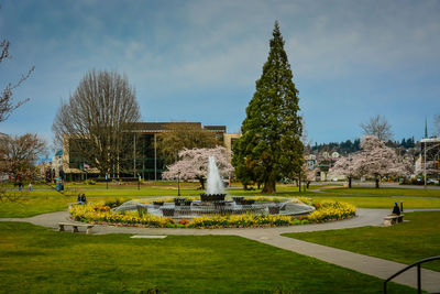 Park in garden against sky