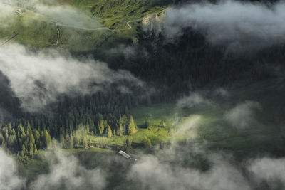 Aerial view of landscape