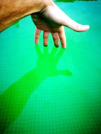 Midsection of person playing with green leaf