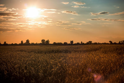 Scenic view of field against sky during sunset