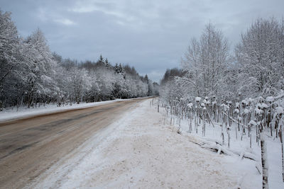 Snow covered road amidst trees against sky