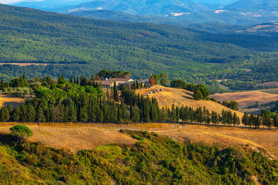 Scenic view of rural landscape