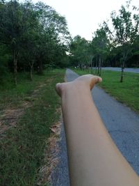 Midsection of person on road amidst trees on field