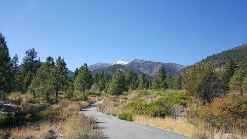 Scenic view of trees and mountains against clear blue sky