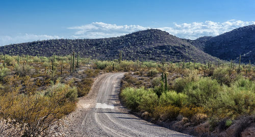 Road amidst plants and mountains against sky