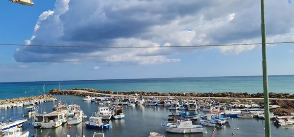 Sailboats moored in sea against sky