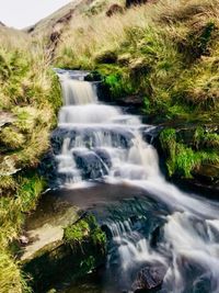 Scenic view of waterfall in forest