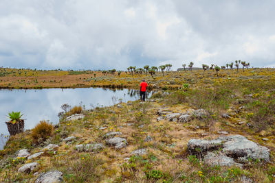 A hiker next to a pond at the 7 ponds hiking trail in the aberdare national park,
