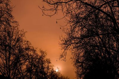 Low angle view of bare trees against sky at sunset