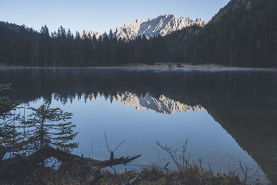 Scenic view of lake by trees against sky