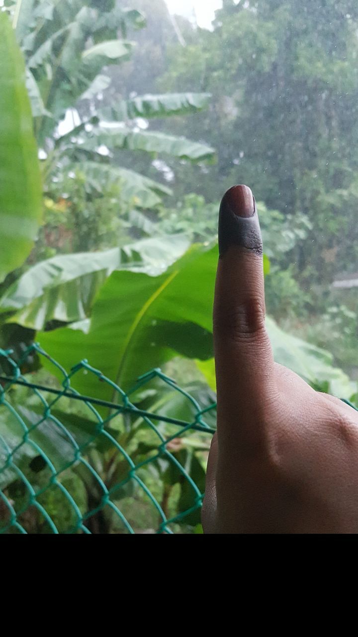 CLOSE-UP OF PERSON HAND AGAINST PLANTS