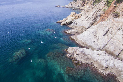 High angle view of rocks on sea shore