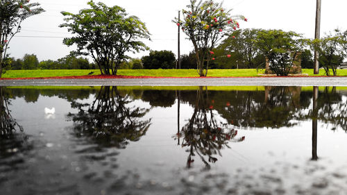 Reflection of trees in lake against sky