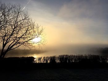 Trees on landscape at sunset