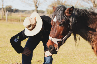 Full length of a horse in a field