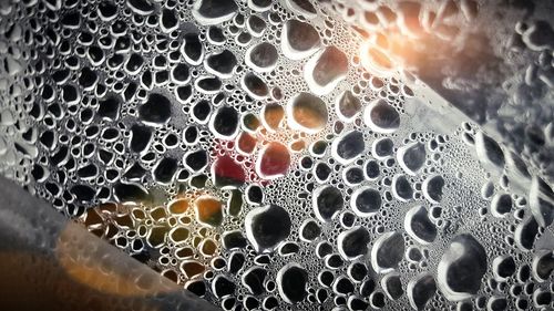 Close-up of bubbles