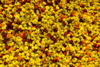 Flowers and garlands for sale at the flower market in kolkata