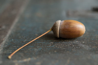 Close-up of nut on wooden table