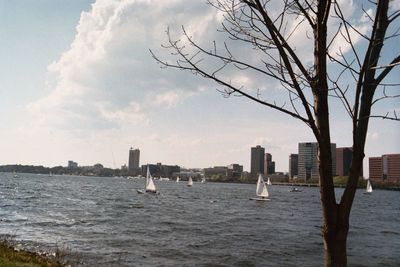 Sea by cityscape against sky