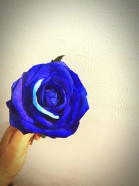 Cropped image of person holding ice cream