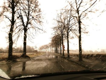 Road amidst trees against sky seen through car windshield