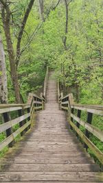 Wooden footbridge in forest