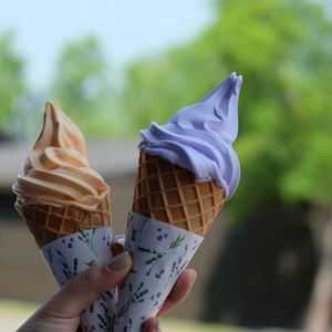 Midsection of person holding ice cream