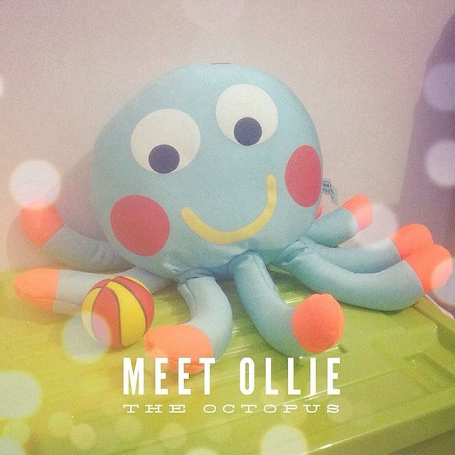 Olivertheoctopus