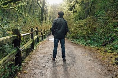 Rear view of man standing on footpath in forest