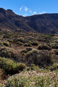 Scenic view of land against sky