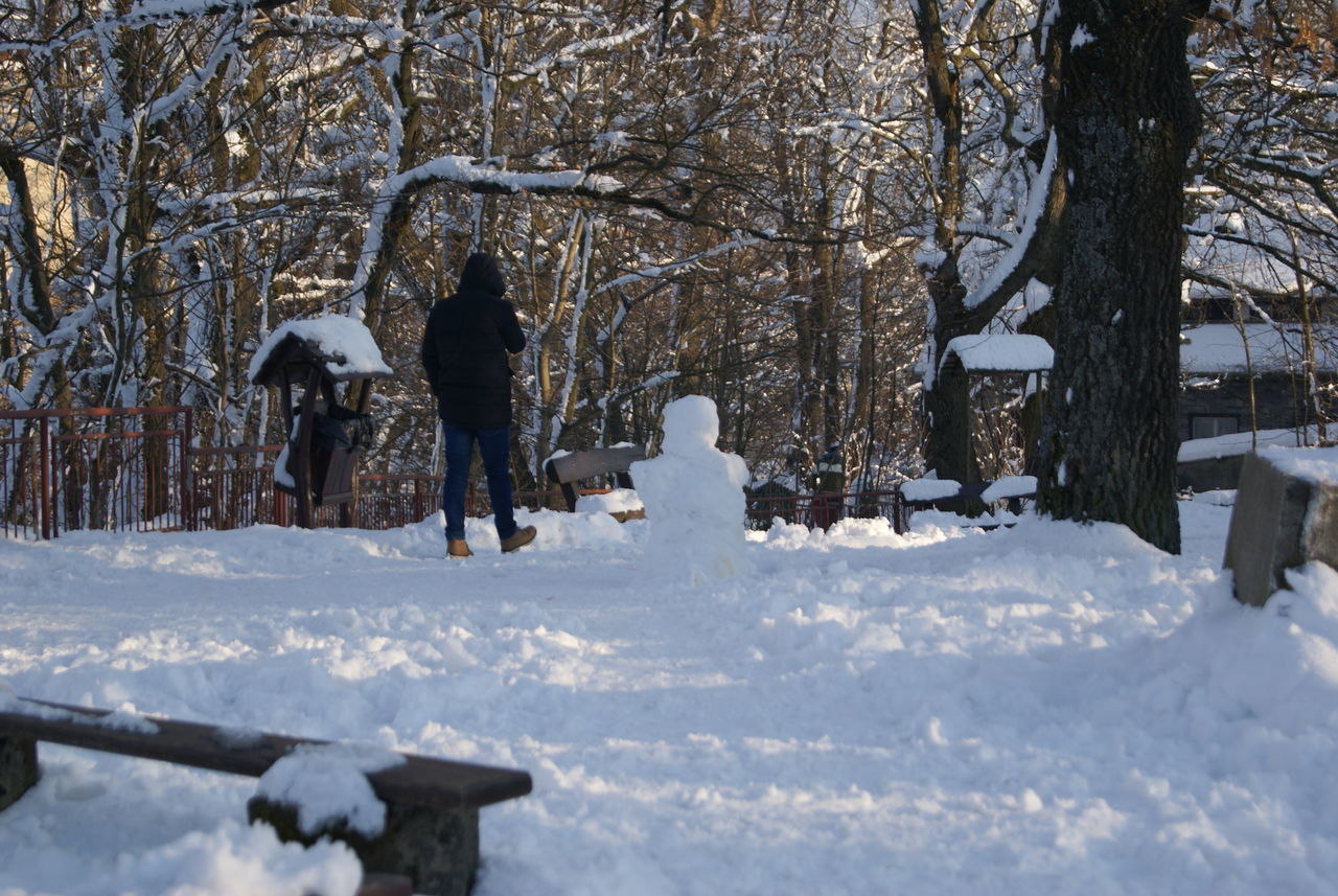 PEOPLE WALKING ON SNOW COVERED TREES