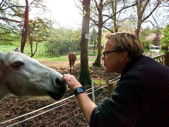 Man feeding a horse