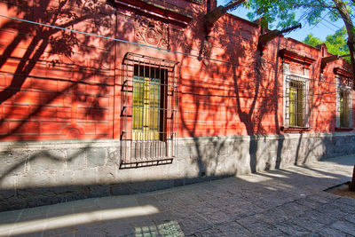 Tree by building in city