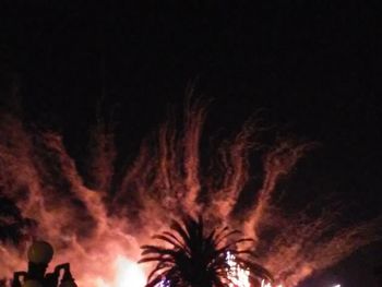 Low angle view of trees against sky at night