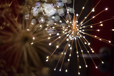 Low angle view of firework display against sky at night