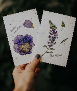 Close-up of hand holding purple flower